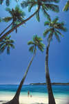 Shangri-Las Fijian Resort 